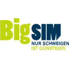 BigSIM - Bild